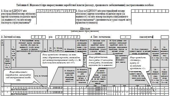 Отчет ЕСВ образец заполнения Отчет ЕСВ образец заполнения